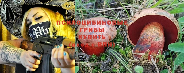каннабис Новокубанск