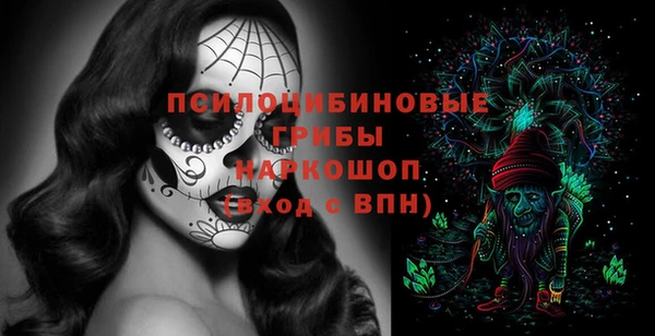 MDMA Новозыбков